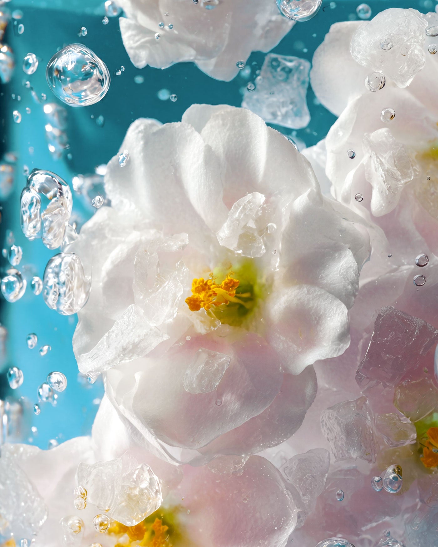 astra-make-up-dreamist-03-acqua-profumata-shimmer-fiori-bianchi-sale-marino image 3
